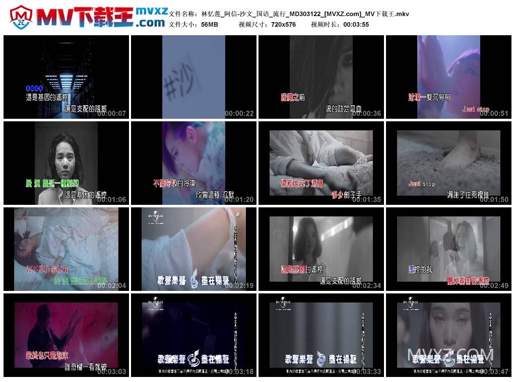 林忆莲_阿信-沙文_国语_流行_MD303122